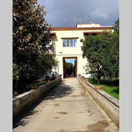 Appartamento In Villa Alle Falde Del Vesuvio ナポリ エクステリア 写真