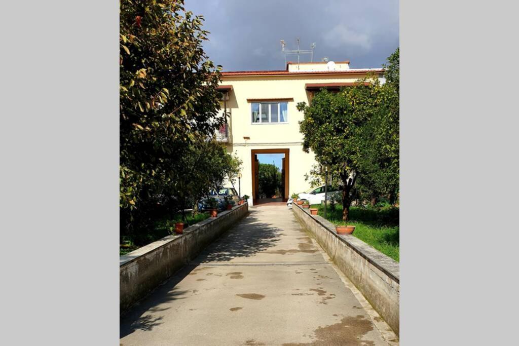 Appartamento In Villa Alle Falde Del Vesuvio ナポリ エクステリア 写真